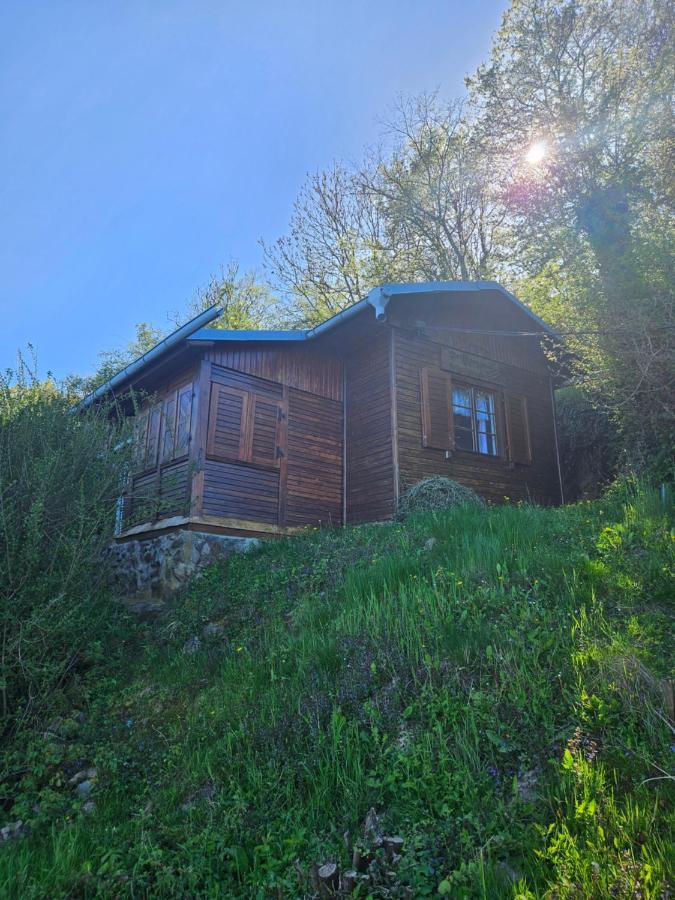 Elbblick Villa Storkau Buitenkant foto